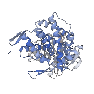 16107_8bld_A_v1-2
Structure of the GroEL(ATP7/ADP7) complex plunged 13 ms after mixing with ATP