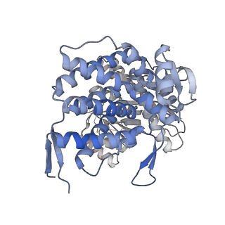 16107_8bld_B_v1-2
Structure of the GroEL(ATP7/ADP7) complex plunged 13 ms after mixing with ATP