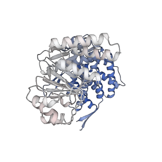 16107_8bld_C_v1-2
Structure of the GroEL(ATP7/ADP7) complex plunged 13 ms after mixing with ATP