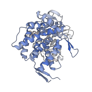 16107_8bld_D_v1-2
Structure of the GroEL(ATP7/ADP7) complex plunged 13 ms after mixing with ATP