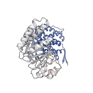 16107_8bld_E_v1-2
Structure of the GroEL(ATP7/ADP7) complex plunged 13 ms after mixing with ATP