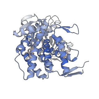 16107_8bld_F_v1-2
Structure of the GroEL(ATP7/ADP7) complex plunged 13 ms after mixing with ATP