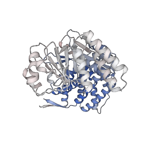 16107_8bld_G_v1-2
Structure of the GroEL(ATP7/ADP7) complex plunged 13 ms after mixing with ATP