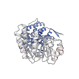16107_8bld_H_v1-2
Structure of the GroEL(ATP7/ADP7) complex plunged 13 ms after mixing with ATP