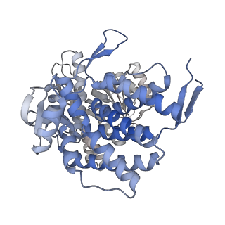 16107_8bld_I_v1-2
Structure of the GroEL(ATP7/ADP7) complex plunged 13 ms after mixing with ATP