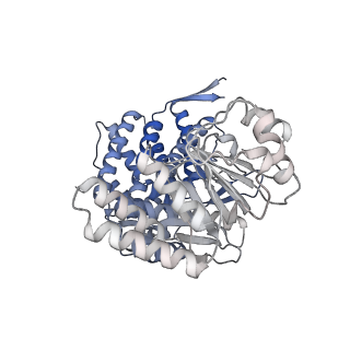 16107_8bld_J_v1-2
Structure of the GroEL(ATP7/ADP7) complex plunged 13 ms after mixing with ATP