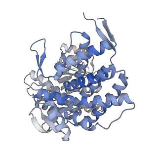 16107_8bld_K_v1-2
Structure of the GroEL(ATP7/ADP7) complex plunged 13 ms after mixing with ATP
