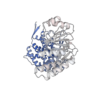 16107_8bld_L_v1-2
Structure of the GroEL(ATP7/ADP7) complex plunged 13 ms after mixing with ATP
