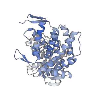 16107_8bld_M_v1-2
Structure of the GroEL(ATP7/ADP7) complex plunged 13 ms after mixing with ATP