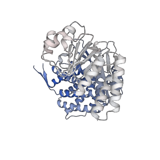 16107_8bld_N_v1-2
Structure of the GroEL(ATP7/ADP7) complex plunged 13 ms after mixing with ATP