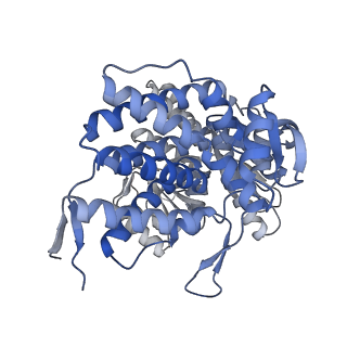 16108_8ble_B_v1-2
Structure of GroEL-nucleotide complex in ADP-like conformation plunged 50 ms after mixing with ATP