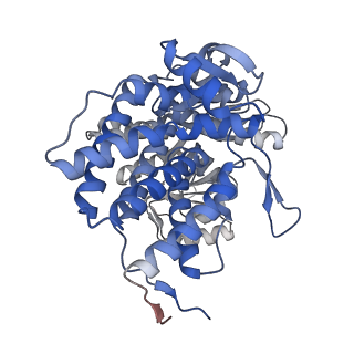16108_8ble_C_v1-2
Structure of GroEL-nucleotide complex in ADP-like conformation plunged 50 ms after mixing with ATP