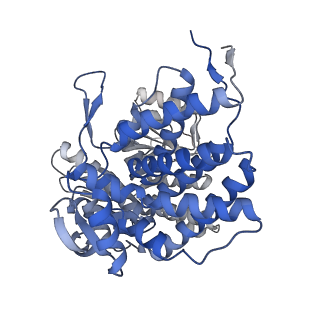 16108_8ble_F_v1-2
Structure of GroEL-nucleotide complex in ADP-like conformation plunged 50 ms after mixing with ATP