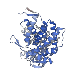 16108_8ble_G_v1-2
Structure of GroEL-nucleotide complex in ADP-like conformation plunged 50 ms after mixing with ATP