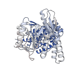 16108_8ble_H_v1-2
Structure of GroEL-nucleotide complex in ADP-like conformation plunged 50 ms after mixing with ATP