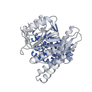 16108_8ble_I_v1-2
Structure of GroEL-nucleotide complex in ADP-like conformation plunged 50 ms after mixing with ATP