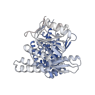 16108_8ble_J_v1-2
Structure of GroEL-nucleotide complex in ADP-like conformation plunged 50 ms after mixing with ATP