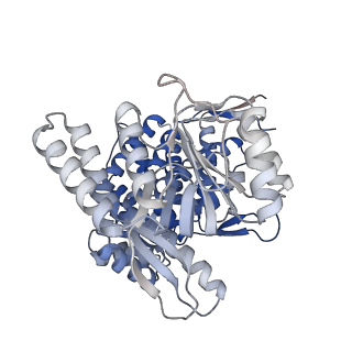 16108_8ble_K_v1-2
Structure of GroEL-nucleotide complex in ADP-like conformation plunged 50 ms after mixing with ATP