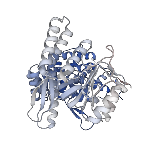 16108_8ble_L_v1-2
Structure of GroEL-nucleotide complex in ADP-like conformation plunged 50 ms after mixing with ATP