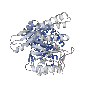 16108_8ble_M_v1-2
Structure of GroEL-nucleotide complex in ADP-like conformation plunged 50 ms after mixing with ATP