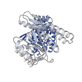 16108_8ble_N_v1-2
Structure of GroEL-nucleotide complex in ADP-like conformation plunged 50 ms after mixing with ATP