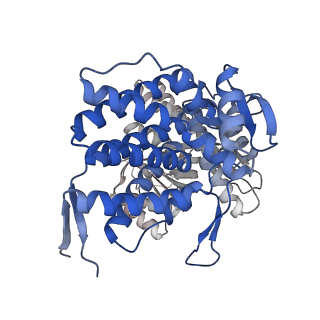 16109_8blf_B_v1-2
Structure of the GroEL(ATP7/ADP7) complex plunged 50 ms after mixing with ATP