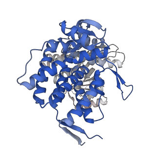16109_8blf_D_v1-2
Structure of the GroEL(ATP7/ADP7) complex plunged 50 ms after mixing with ATP
