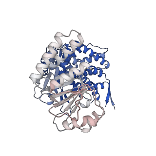 16109_8blf_E_v1-2
Structure of the GroEL(ATP7/ADP7) complex plunged 50 ms after mixing with ATP