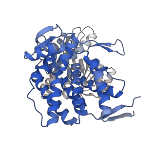 16109_8blf_F_v1-2
Structure of the GroEL(ATP7/ADP7) complex plunged 50 ms after mixing with ATP