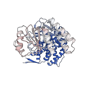 16109_8blf_G_v1-2
Structure of the GroEL(ATP7/ADP7) complex plunged 50 ms after mixing with ATP