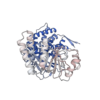 16109_8blf_H_v1-2
Structure of the GroEL(ATP7/ADP7) complex plunged 50 ms after mixing with ATP