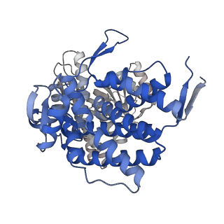 16109_8blf_I_v1-2
Structure of the GroEL(ATP7/ADP7) complex plunged 50 ms after mixing with ATP