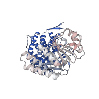 16109_8blf_J_v1-2
Structure of the GroEL(ATP7/ADP7) complex plunged 50 ms after mixing with ATP