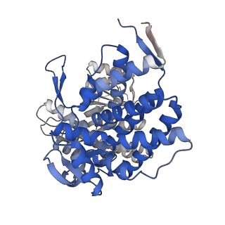 16109_8blf_K_v1-2
Structure of the GroEL(ATP7/ADP7) complex plunged 50 ms after mixing with ATP