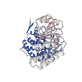 16109_8blf_L_v1-2
Structure of the GroEL(ATP7/ADP7) complex plunged 50 ms after mixing with ATP