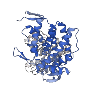 16109_8blf_M_v1-2
Structure of the GroEL(ATP7/ADP7) complex plunged 50 ms after mixing with ATP