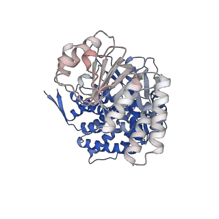 16109_8blf_N_v1-2
Structure of the GroEL(ATP7/ADP7) complex plunged 50 ms after mixing with ATP