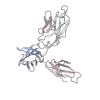 16113_8blq_A_v1-0
Cryo-EM structure of the CODV-IL13-RefAb triple complex