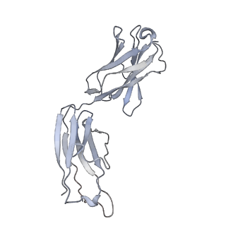 16113_8blq_E_v1-0
Cryo-EM structure of the CODV-IL13-RefAb triple complex