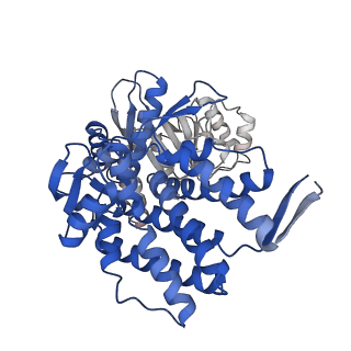 16115_8bly_A_v1-2
Structure of the GroEL-ATP complex plunge-frozen 13 ms after mixing with ATP