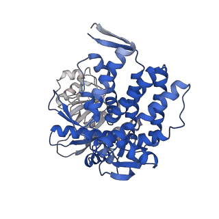16115_8bly_E_v1-2
Structure of the GroEL-ATP complex plunge-frozen 13 ms after mixing with ATP