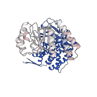 16115_8bly_I_v1-2
Structure of the GroEL-ATP complex plunge-frozen 13 ms after mixing with ATP