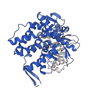16115_8bly_L_v1-2
Structure of the GroEL-ATP complex plunge-frozen 13 ms after mixing with ATP