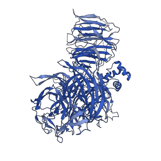 7113_6bly_A_v1-4
Cryo-EM structure of human CPSF-160-WDR33 complex at 3.36A resolution