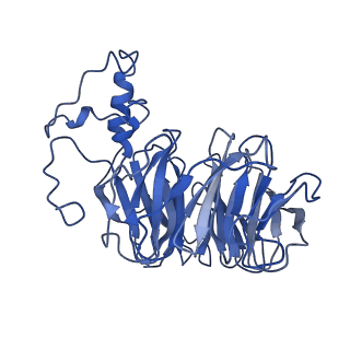 7113_6bly_B_v1-4
Cryo-EM structure of human CPSF-160-WDR33 complex at 3.36A resolution