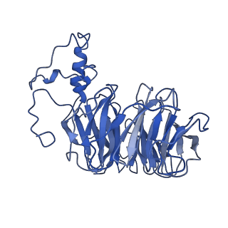 7113_6bly_B_v1-5
Cryo-EM structure of human CPSF-160-WDR33 complex at 3.36A resolution