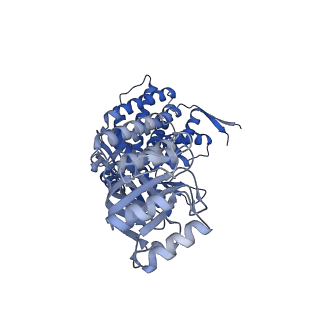 16116_8bm0_A_v1-4
Structure of GroEL:GroES-ATP complex plunge frozen 200 ms after reaction initiation