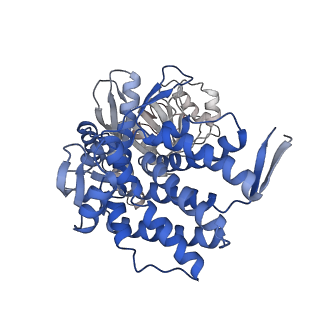16116_8bm0_C_v1-4
Structure of GroEL:GroES-ATP complex plunge frozen 200 ms after reaction initiation