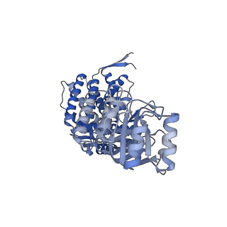 16116_8bm0_D_v1-4
Structure of GroEL:GroES-ATP complex plunge frozen 200 ms after reaction initiation