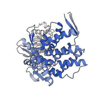 16116_8bm0_F_v1-4
Structure of GroEL:GroES-ATP complex plunge frozen 200 ms after reaction initiation